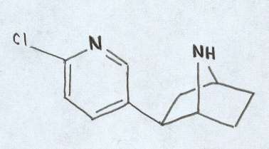 Chemical structure of Epibatidine.