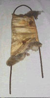 Image of rabbit skin being stretched on a wire frame.