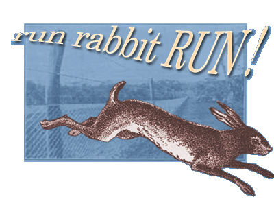 run rabbit RUN!